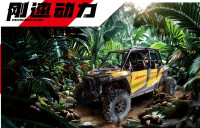GS1000UTV（四座）